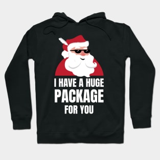 I Have A Huge Package For You Funny Christmas Joke Hoodie